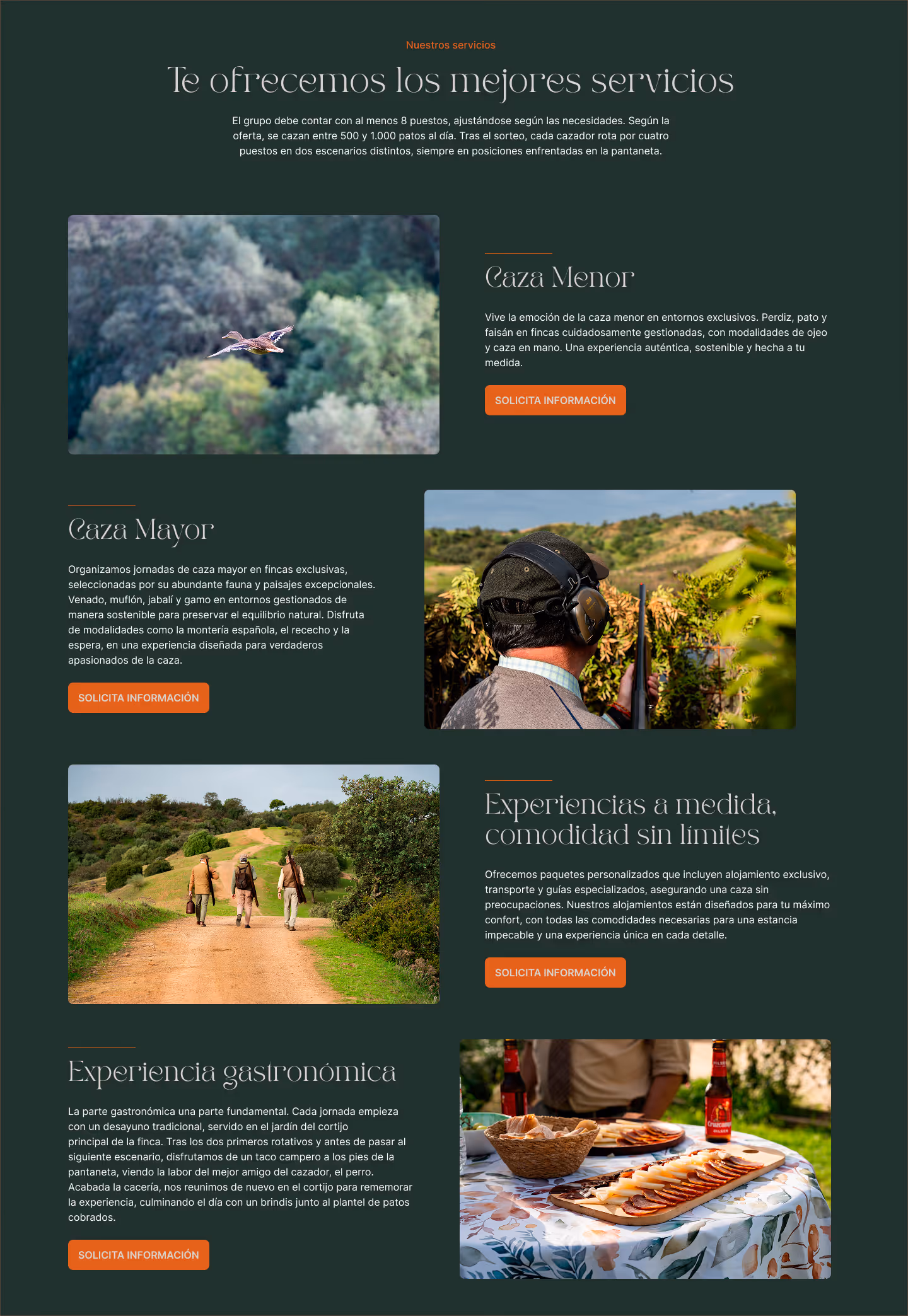 Diseño de la web de Hunting Tallares
