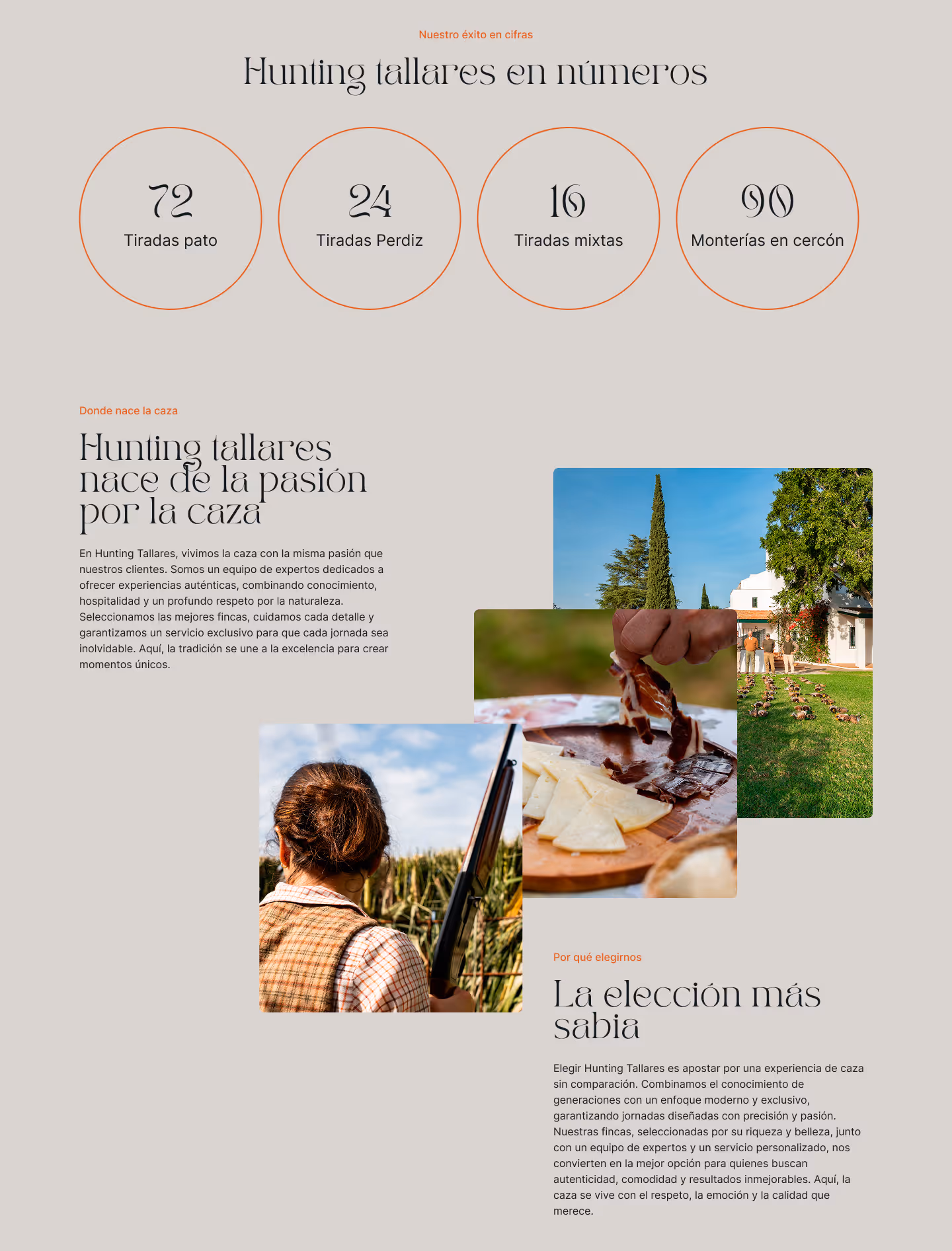 Diseño de la web de Hunting Tallares