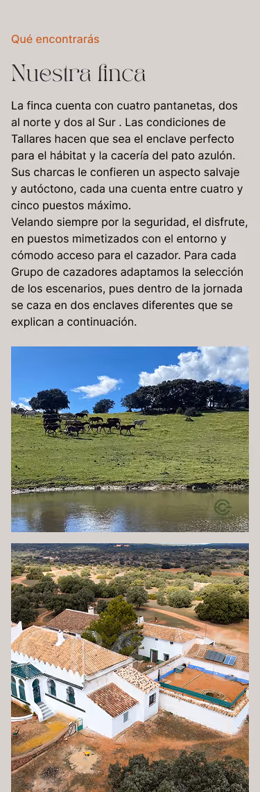 Versión móvil de la web de Hunting Tallares