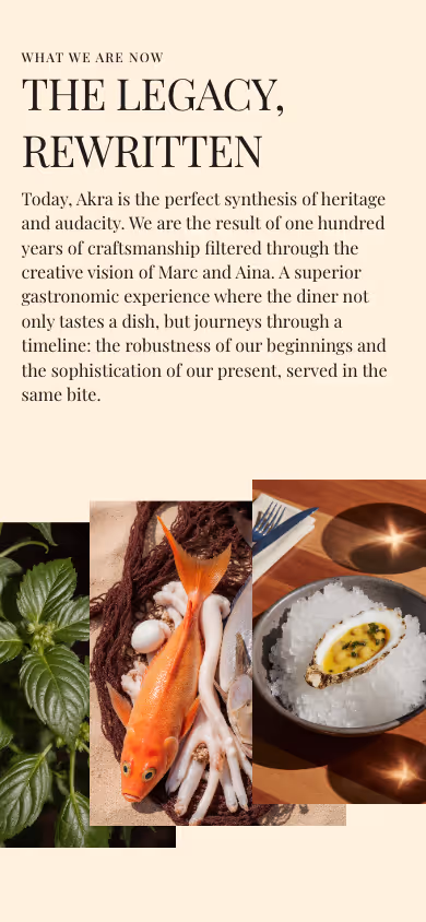 Versión móvil de la web de Akra Restaurante